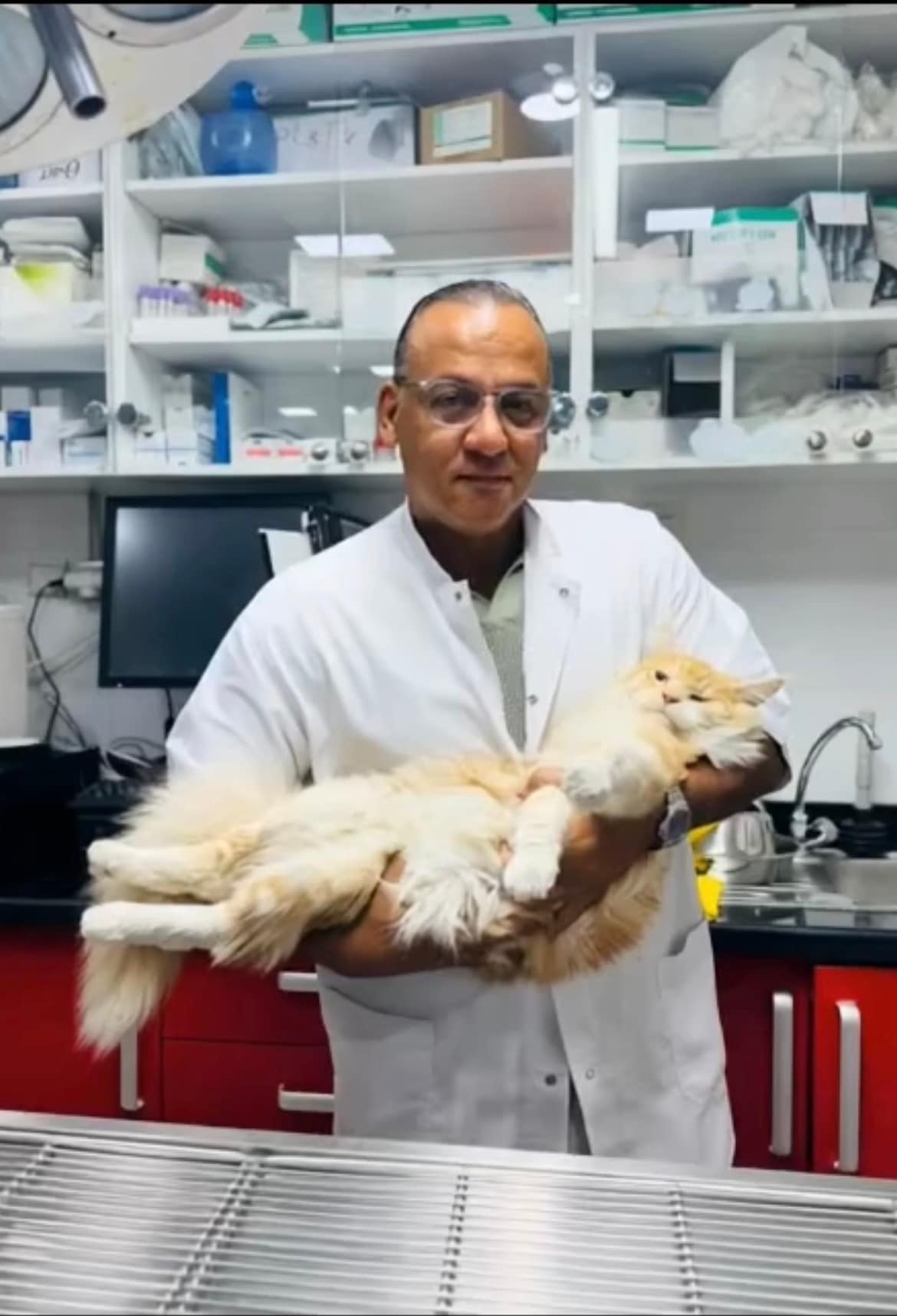 Dr Bassir examining a cat at the veterinary clinic in Casablanca
